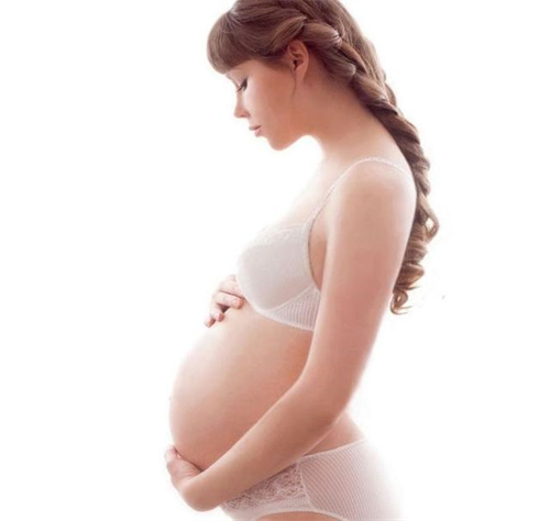 1697178170419839.jpg 孕75.jpg