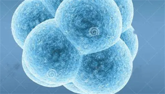 1698387724692993.png 9.png