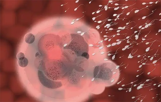 1698388700831664.png 22.png