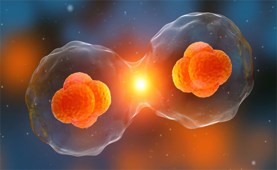 1698479118581608.png 108.png