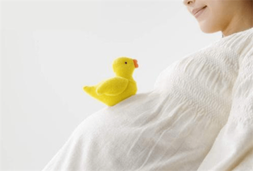 1699253126865629.png 孕67.png