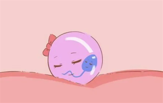 1699256314804233.png 74.png