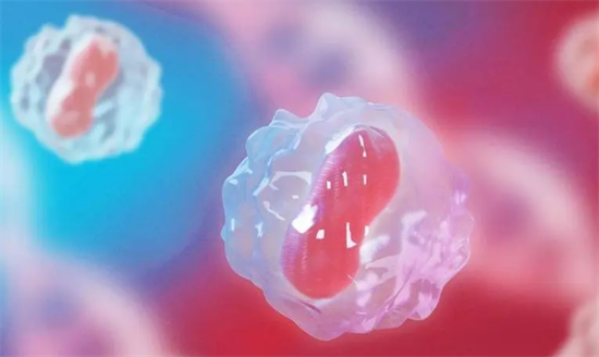 1699426566566261.png 73.png