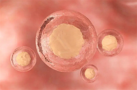 1699512326315765.png 12.png