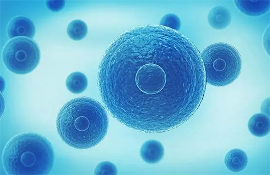 1699946086329835.png 1.png