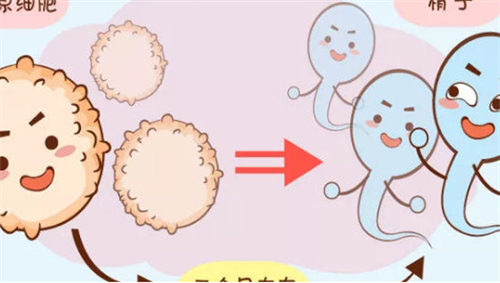 1700032937758133.png 51.png