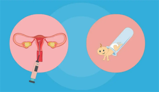 1700035008736180.png 58.png