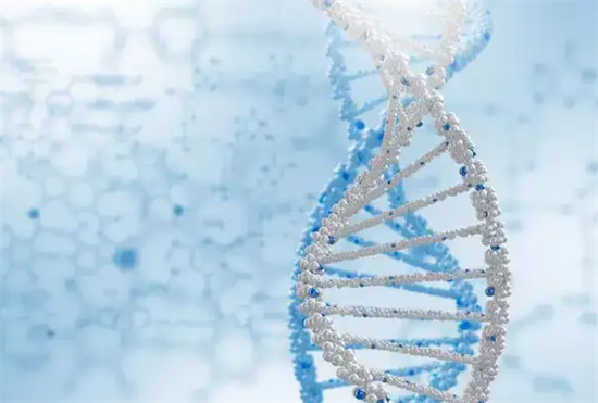 1700121208201482.png 139.png