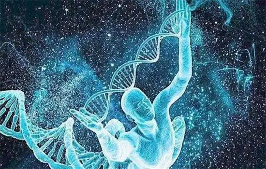 1700465870333092.png 2.png