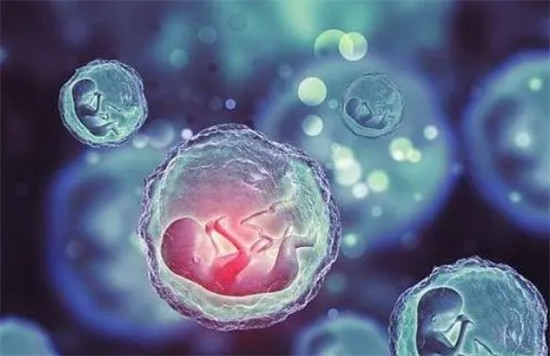 1700721026652357.png 93.png