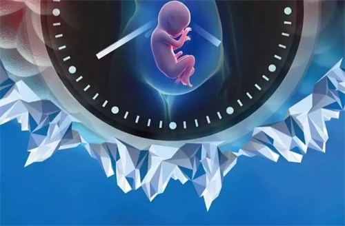 1702105205135209.jpg 孕45.jpg