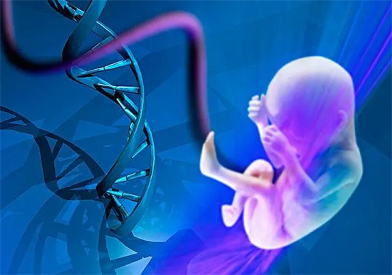 1703142357768655.png 46.png