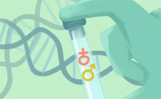 1703312172442940.png 52.png