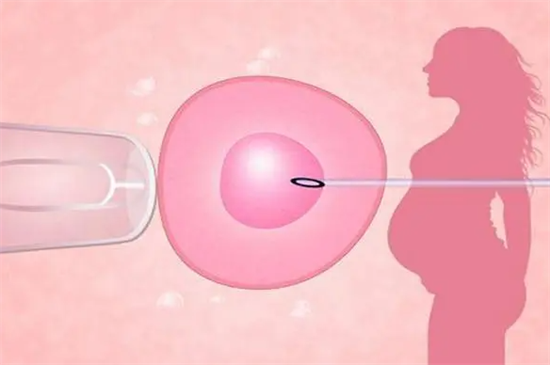 1703313090657130.png 43.png