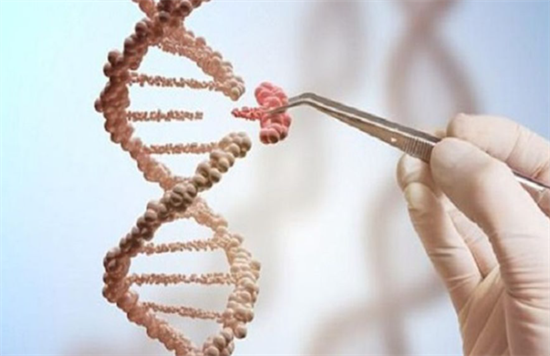 1703747491620374.png 57.png