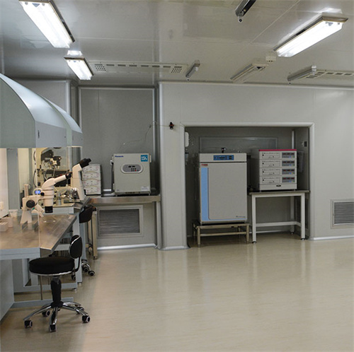 天津254試管嬰兒生殖中心：滿足夫妻美滿家庭夢想