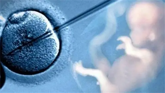 試管嬰兒需要經歷的六個環節，哪項才是關鍵？