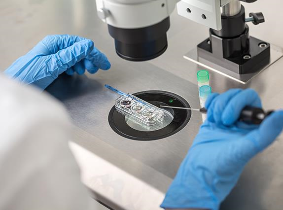 遼寧做試管嬰兒的費用是多少？遼寧試管嬰兒補助政策，遼寧試管嬰兒醫院排名