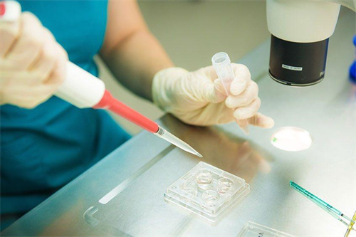 國內成功率高的試管嬰兒醫院有哪些？4個試管嬰兒醫院供你選擇