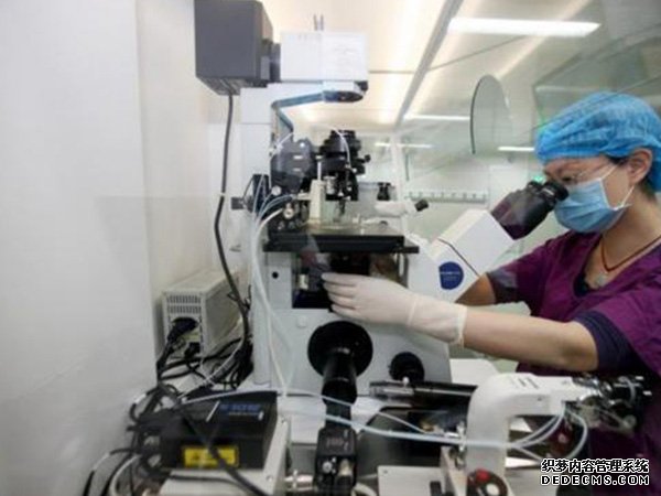 武漢有代懷嗎 武漢三代試管嬰兒醫(yī)院推薦: ‘彩超哪些指數(shù)可以看出男女性別’