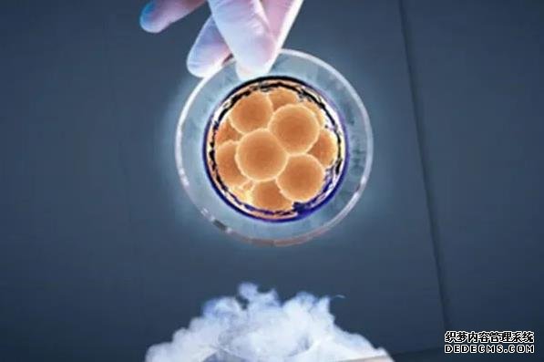 濟南90醫院做試管嬰兒是免費的嗎? 濟南私立試管醫院生殖醫學中心 ‘nt能看男女’