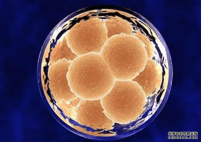 武漢婦產科醫院 武漢康健試管費用解析，讓你了解試管嬰兒價格！ ‘男寶9周b超圖’