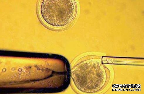 天津代懷 天津中醫一附院和中心婦產醫院哪個生殖科試管技術更好? ‘彩超單子上有男女暗示xy’