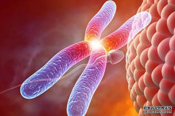 廣西代生 2022廣西壯族自治區私立助孕機構名單大全,附試管費用和成功率預估 ‘b超單三條線男孩圖’