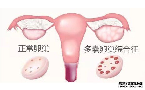 廣州供卵群 2022廣州人工授精生男孩醫院排名，附助孕費用和成功率一覽 ‘16周雙頸頂股骨長男女’