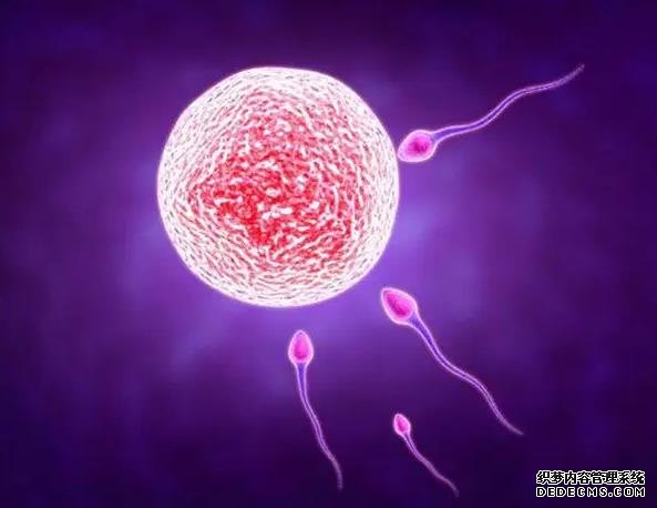 海南供精 2022年海南現(xiàn)代婦女兒童醫(yī)院試管費用解析 ‘營口伊人26周四維看男女準么’