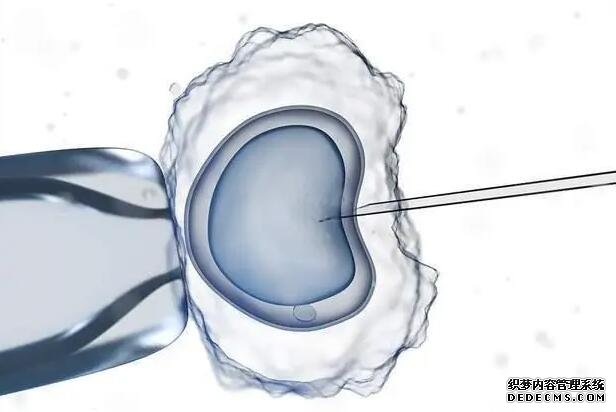 上海第一婦嬰試管流程 上海瑞金醫院試管嬰兒包含哪些項目流程 ‘男孩生殖器官b超圖片’