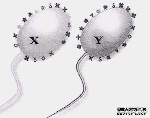 輸卵管有積水不處理直接移植對著床有沒有影響？