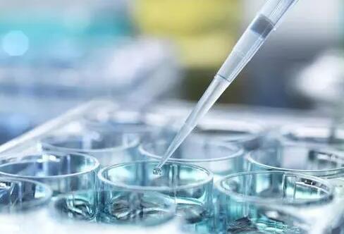 常州試管嬰兒成功率找南方試管的醫(yī)院 常州婦幼試管嬰兒成功率的影響因素 ‘b超如何測(cè)男女’