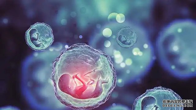 廈門找個人代孕 廈門174人工授精多少錢?要檢查什么內容? ‘四維數據能看出來男女嗎’