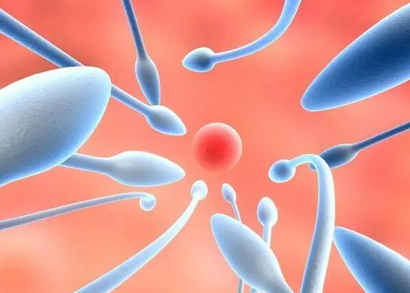 鄭州試管補貼 鄭州第二附屬醫院試管嬰兒需要多少錢?怎樣才能減少花銷? ‘孕囊1.8以下看男女’