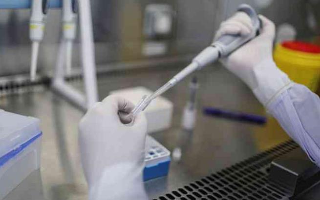 天津三代試管成功率找南方試管機構 天津武警醫院生殖科哪個大夫做試管嬰兒技術好？ ‘胎囊3.2*14男孩女孩’