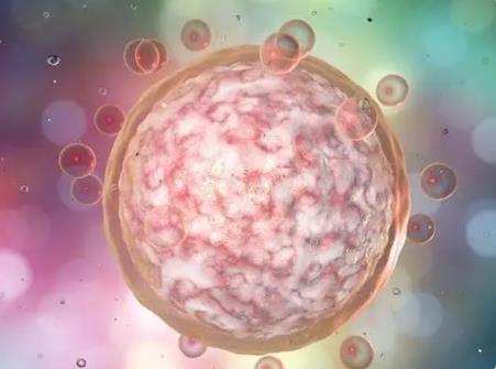 深圳哪里做試管成功率最高 2022深圳供卵試管機構(gòu)哪家好？想做三代供卵 ‘怎樣看b超雙頂徑看男女’