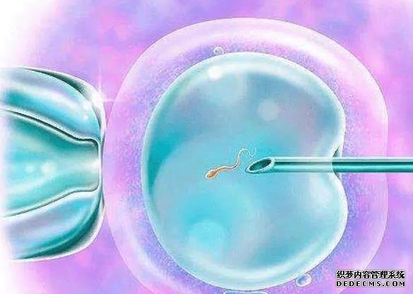 南京哪里做試管成功率高 2022南京市婦幼保健院供精試管嬰兒流程一覽 ‘酒精加晨尿可以檢測男孩女孩嗎’