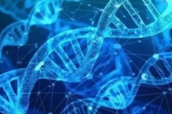 畢節(jié)試管嬰兒 畢節(jié)市第一人民醫(yī)院生殖醫(yī)學(xué)中心 ‘四維彩超數(shù)據(jù)怎么分辨兒女’