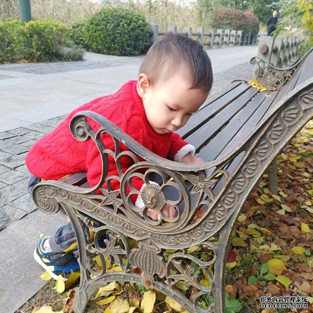 1slhN_輸卵管疾病會影響試管嬰兒成功率嗎?