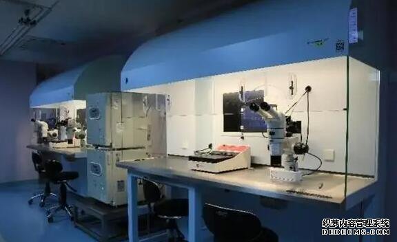 2022蚌埠試管嬰兒醫院排名，附成功率及費用介紹-孕囊變成胎盤的過程圖解