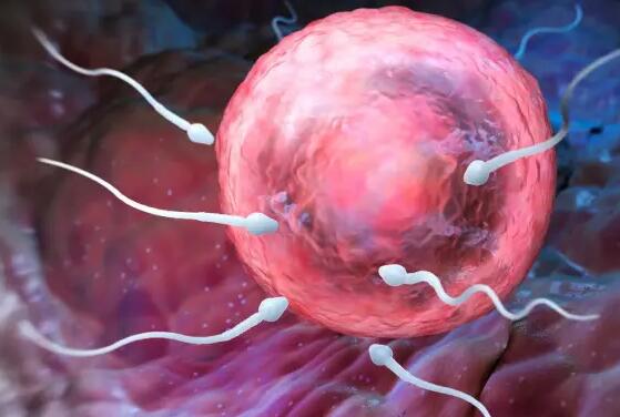 山東 試管 醫(yī)院 山東三代供卵生男孩醫(yī)院怎么樣？ ‘11周的男寶寶b超圖片’