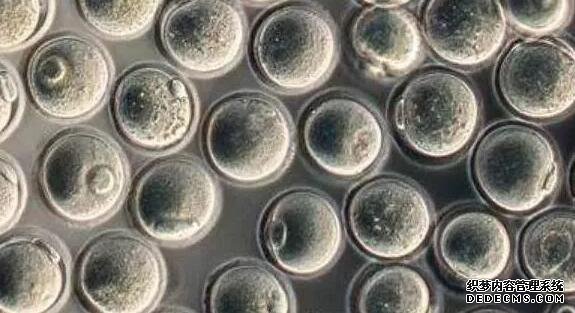 南京哪家醫(yī)院可以提供供卵 2022南京鼓樓醫(yī)院做三代試管供卵費(fèi)用全面講解 ‘怎樣看胎囊識(shí)別男孩兒和女孩兒’