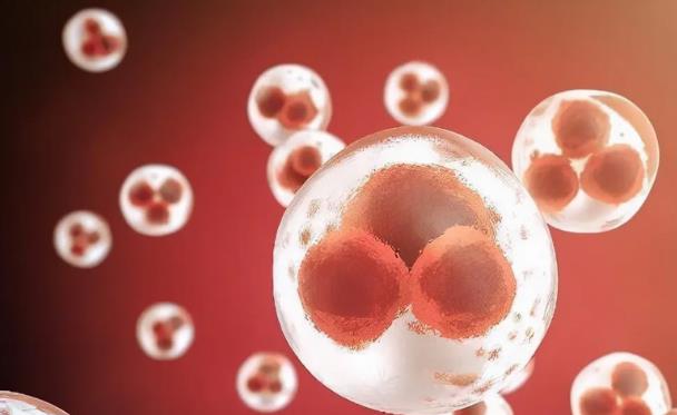 無錫借卵試管過程 錫試管嬰兒各大醫(yī)院費(fèi)用匯總，3招省錢技巧分享 ‘四維彩超通過胎心率可以看出男女嗎’