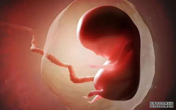 第三代試管嬰兒:為什么高齡二胎這么困難?-促排第十天卵泡22了雌二醇才三百多醫(yī)生說正常?