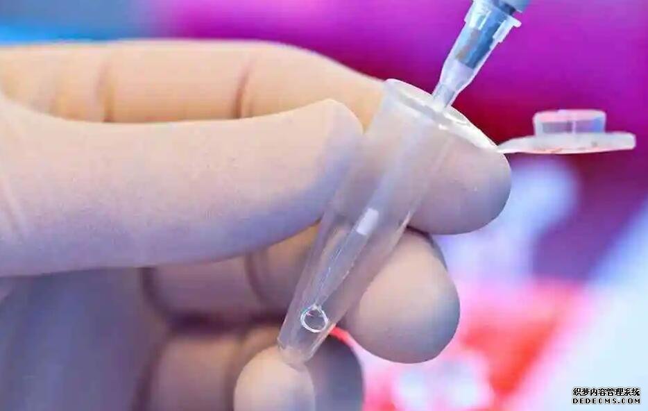 解密：輸卵管不通暢會懷孕嗎