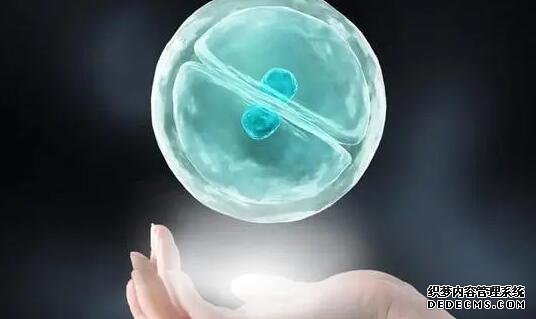 浙江省婦保有供卵嗎 杭州供卵試管費用多少，2022浙江供卵試管費用預估 ‘孕17周b超男寶小雞’