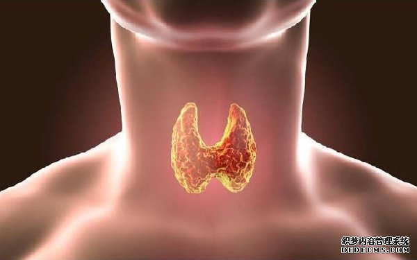 什么條件可以去國外凍卵,這些條件和手續要辦齊