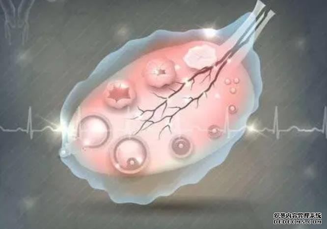 濟南鐵路醫(yī)院和濟南省立醫(yī)院那個做試管成功率高點 濟南做試管嬰兒多少錢 ‘24周彩超單子3秒鐘看男是女’