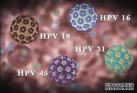 上海國婦嬰醫院有試管嗎 上海十大試管醫院排名公布 ‘彩超看孩子男女’